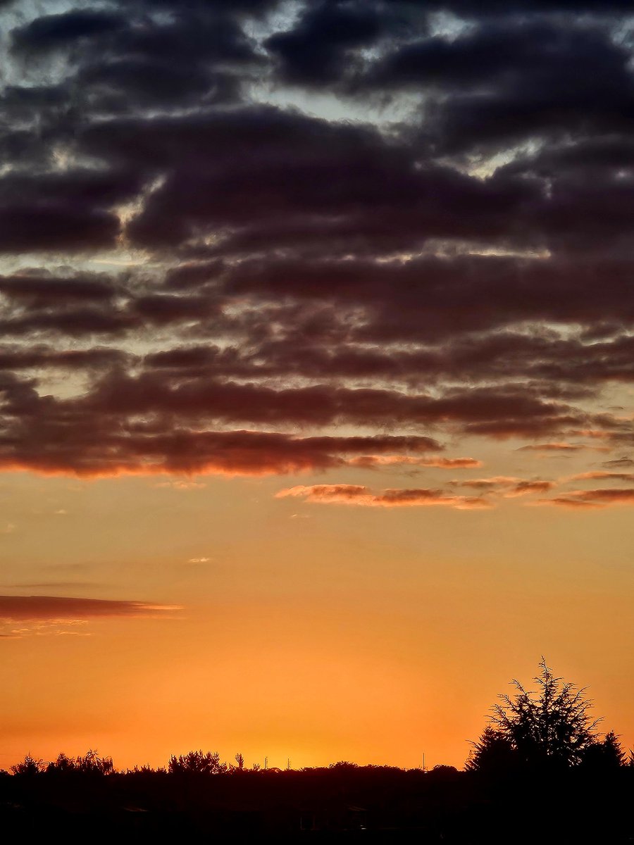 Dzień dobry... ☕️☀️