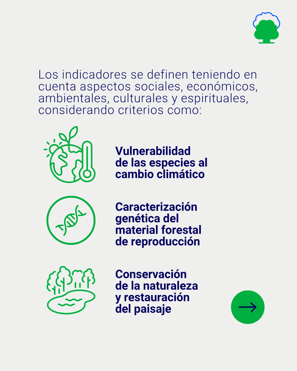 eco2for_fb's tweet image. Con la mirada puesta en la absorción de #carbono, peeero dando un paso más allá.👉 #eco2for busca evaluar otros indicadores. eco2for.com/recurso/infogr…

#PlanDeRecuperación #ProyectosPRTR #NextGenerationEU @fcesefor @infofbycc @CETEMAS @FBiodiversidad @inia_csic