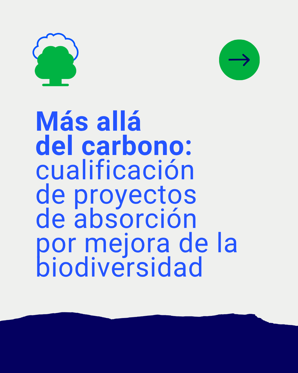 eco2for_fb's tweet image. Con la mirada puesta en la absorción de #carbono, peeero dando un paso más allá.👉 #eco2for busca evaluar otros indicadores. eco2for.com/recurso/infogr…

#PlanDeRecuperación #ProyectosPRTR #NextGenerationEU @fcesefor @infofbycc @CETEMAS @FBiodiversidad @inia_csic
