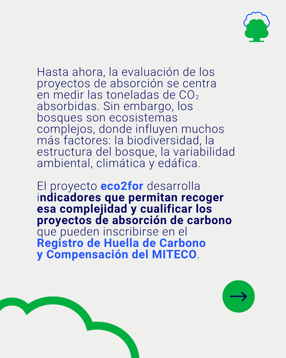 eco2for_fb's tweet image. Con la mirada puesta en la absorción de #carbono, peeero dando un paso más allá.👉 #eco2for busca evaluar otros indicadores. eco2for.com/recurso/infogr…

#PlanDeRecuperación #ProyectosPRTR #NextGenerationEU @fcesefor @infofbycc @CETEMAS @FBiodiversidad @inia_csic