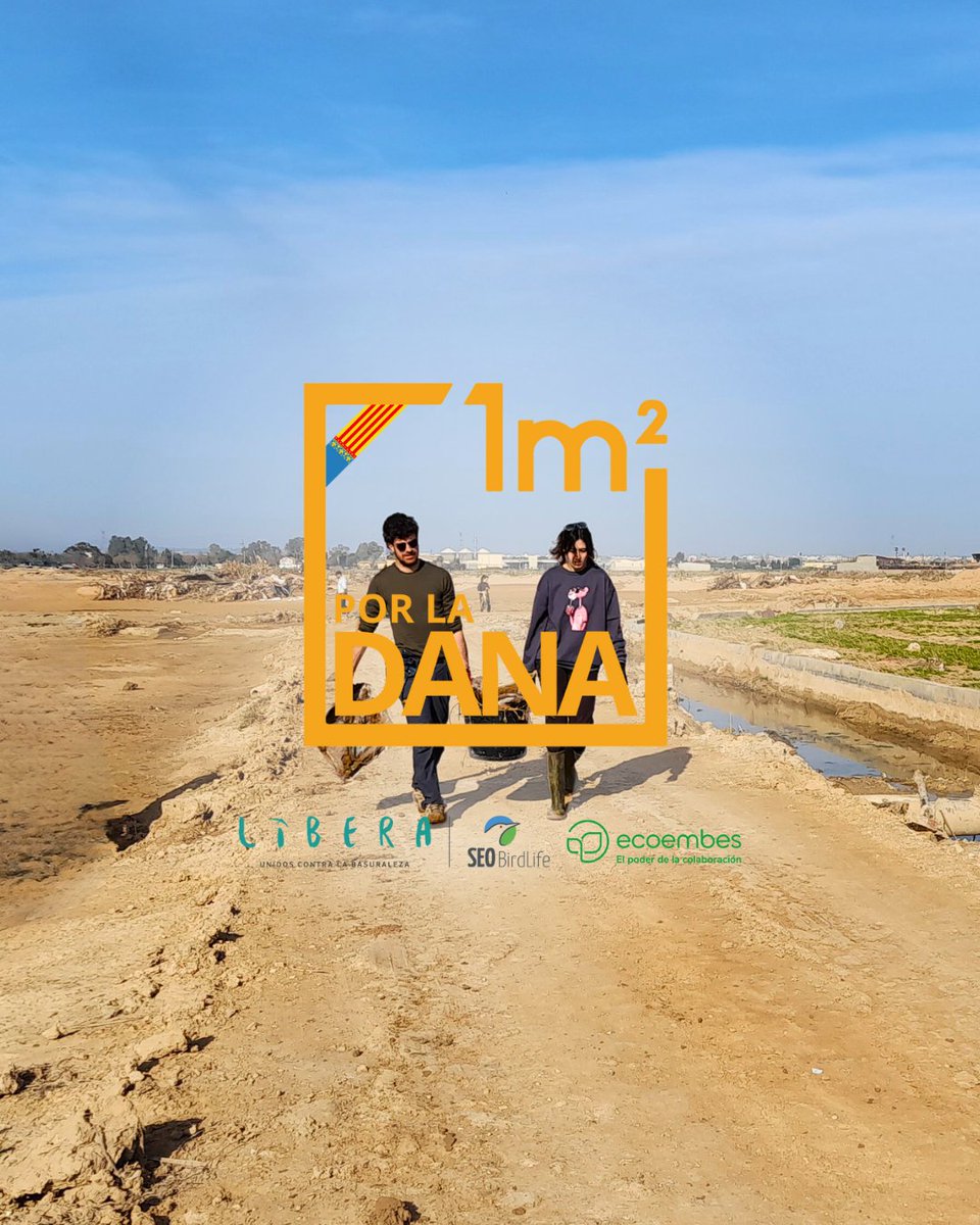 SEO_BirdLife's tweet image. Retirar los residuos por el temporal y recoger muestras de agua y sedimentos para conocer el impacto ambiental. 

Así es el propósito de 1m² por la DANA de #ProyectoLIBERA, donde 30 recogidas de #basuraleza abiertas a todo el público actuarán por diferentes enclaves donde sucedió…