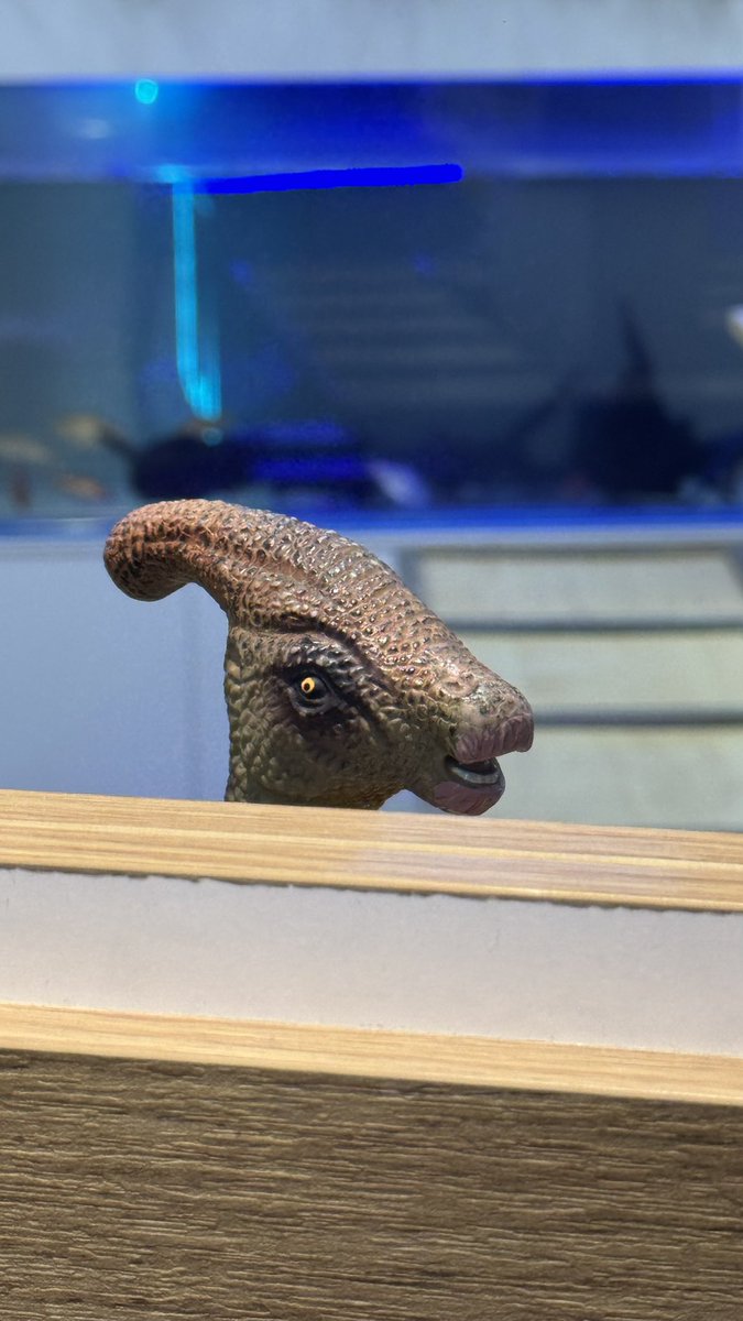 Энэ нэг амитан хараад байхын