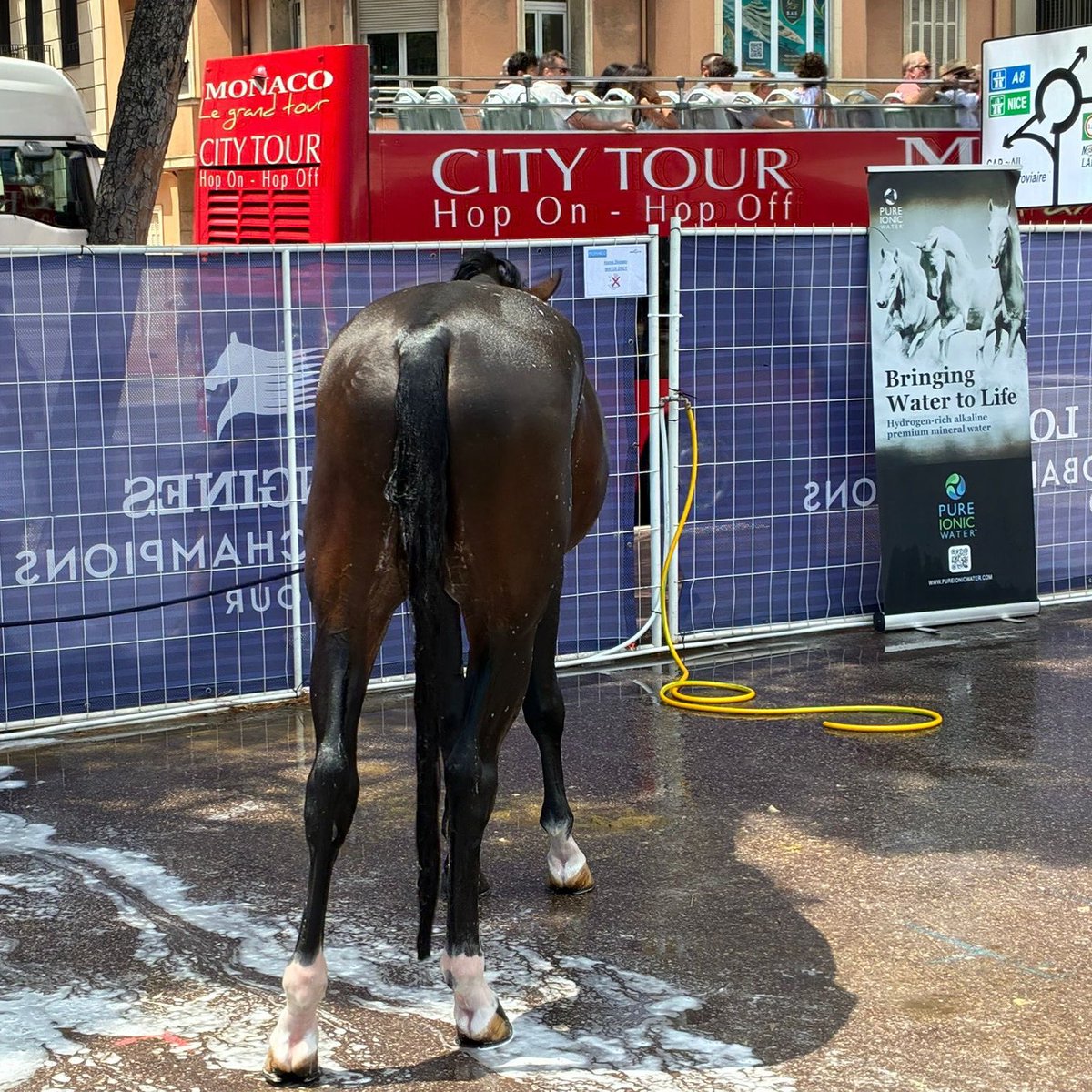 Pureionicwater's tweet image. Pure Hydration at the Longines Global Champions Tour, Monaco. At one of the most prestigious events in the equestrian world, excellence is expected — not just in the ring, but behind the scenes. #LonginesGCT #MonacoShowjumping #EquestrianHydration #PureIonicWater