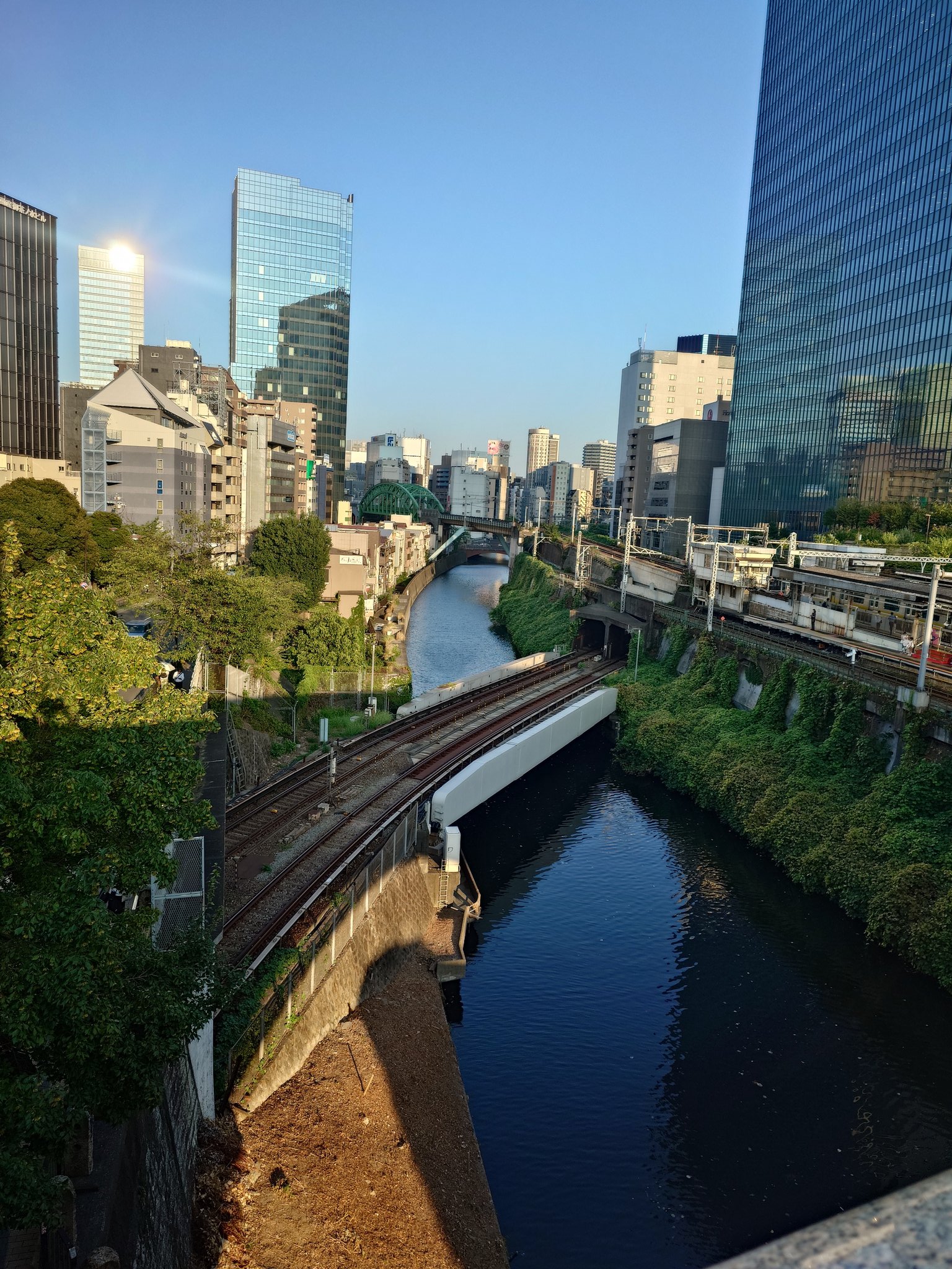 すずめページ 41wSUkYv7kL._UF350,350_QL50_.jpg