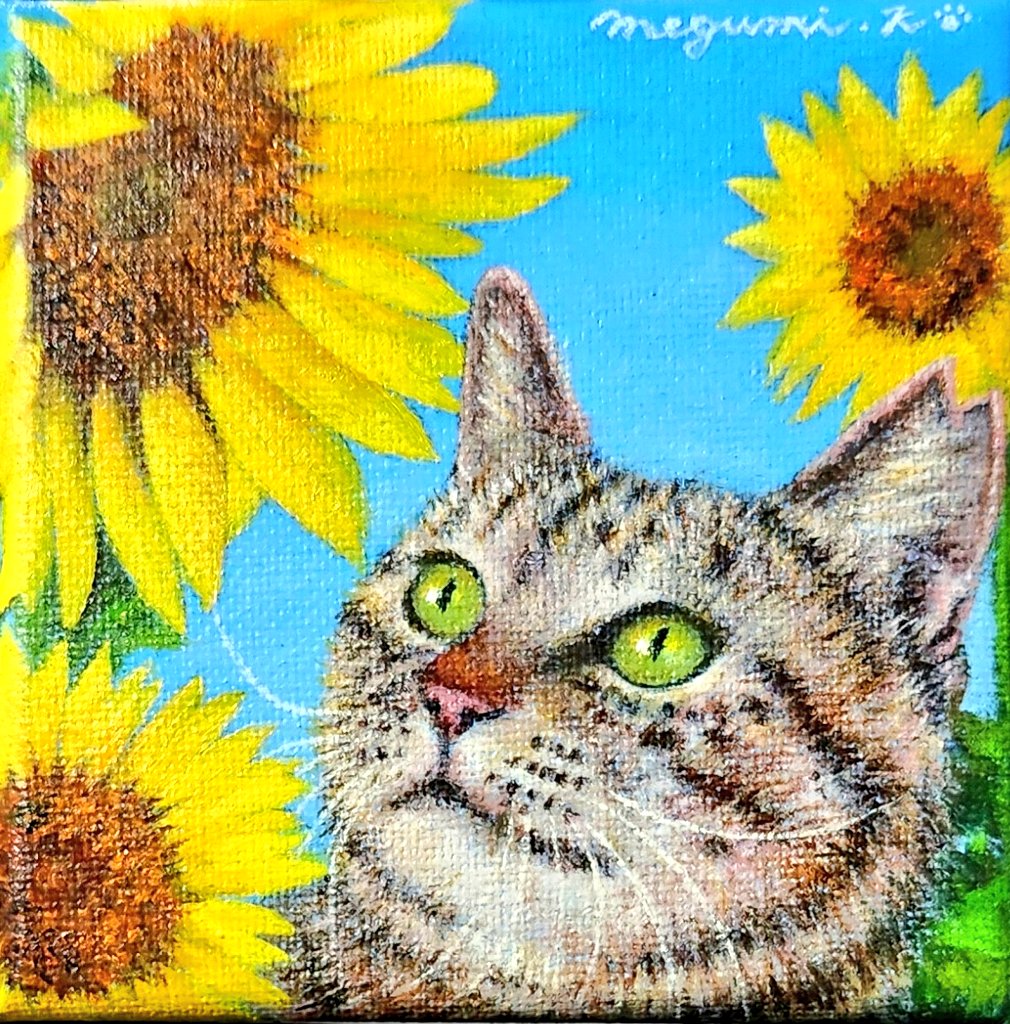 きじとら - Search / X