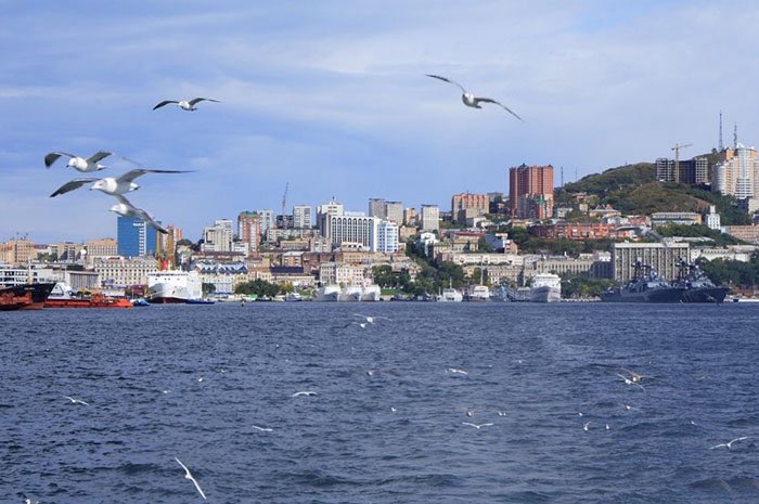 AllEvansichuan's tweet image. 当普京对乌克兰提出领土要求是，泽连斯基回怼说：“不是世界上所有的地方都可以叫
符拉迪沃斯托克！”

其实它还有个古老的名字：海参崴！👍