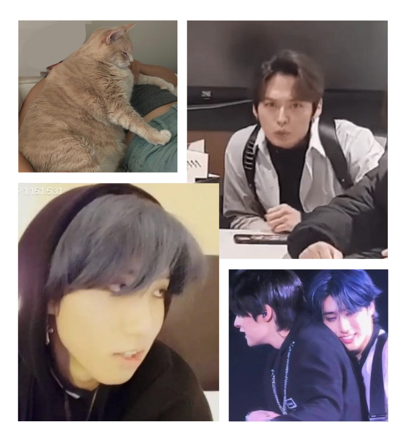 Sky 🐿️🐰 tweet media