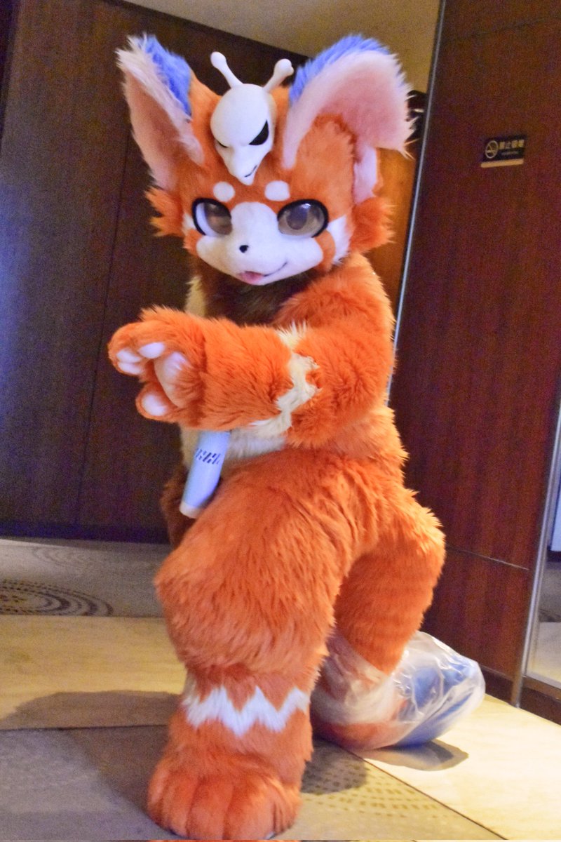 TSchnuffel's tweet image. 馴服前的納爾和馴服後的納爾