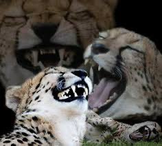 서울이 추우면?
.
.
.
.
.
.
.
.
.
.
.
.
.
.
.
.
.
.
.
.
.
.
.
서울시립대 엌ㅋㅋㅋㅋㅋㅋㅎㅍㅋㅋㅋㅋㅋㅋㅋㅋㅋㅋㅋㅋㅌㅋㅋㅋㅊㅌㅋㅋ