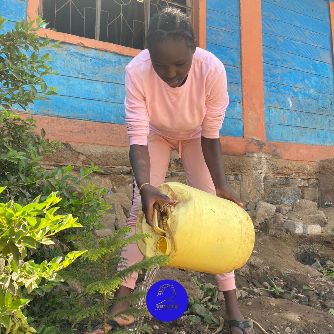 Healing is like planting a tree; it takes patience, nurture and hope. Every drop of care counts. For mental wellness to flourish, communities, like planting a tree, must water it with love, support and awareness.

#UbuntuMentalHealth #mentalhealth #mentalwellness #Ubuntu