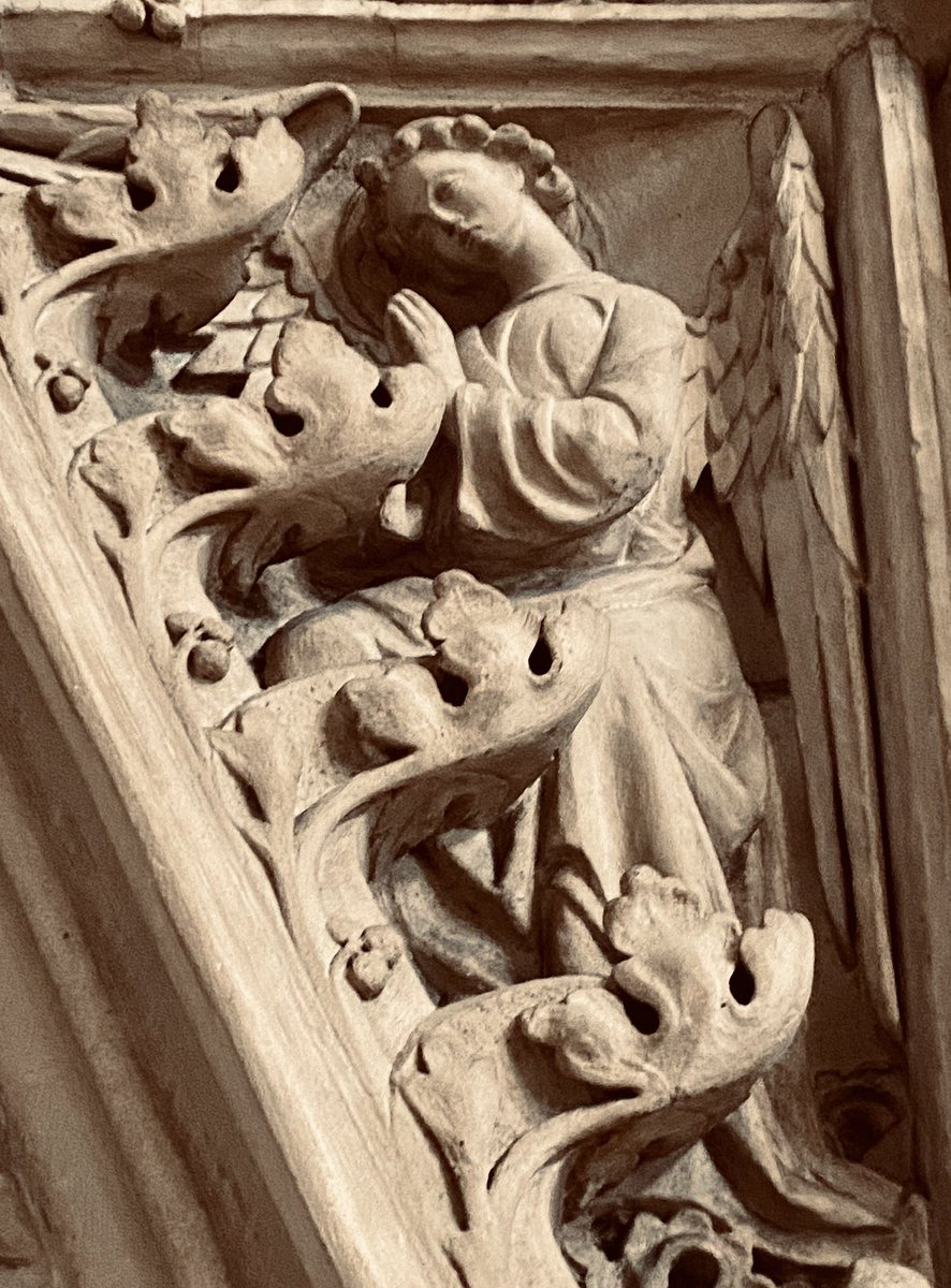 As #AugustAngels draws to a close, we hope you’ve enjoyed these glimpses of our heavenly helpers around the Cathedral! 😇 Watch this space for #SeptemberSaints!