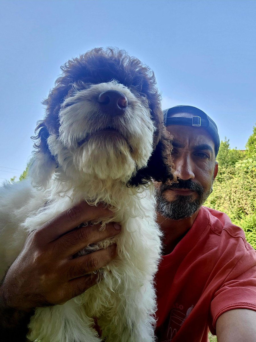 menacho1981's tweet image. Os presento a Deniss....el nuevo miembro de la familia ❤️