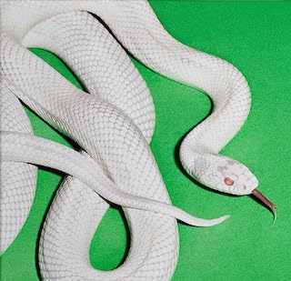 We have a new No1
Private Muisc by <a href="/deftones/">Deftones</a>

"Deftones sound colossal. Even in its most delicate passages, ‘Private Music’ feels vast, immersive and wholly intentional" - 10/10 <a href="/readdork/">Dork</a> 
bit.ly/3HwATDX