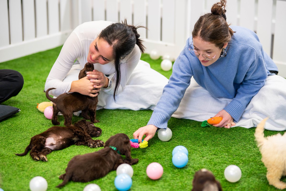 Meetings, workshops, team days and even puppy therapy sessions. Our new Collaboration Lab at Marathon House does it all. 

Want to book the Collaboration Lab or explore what else House of Sport has to offer? Link in bio