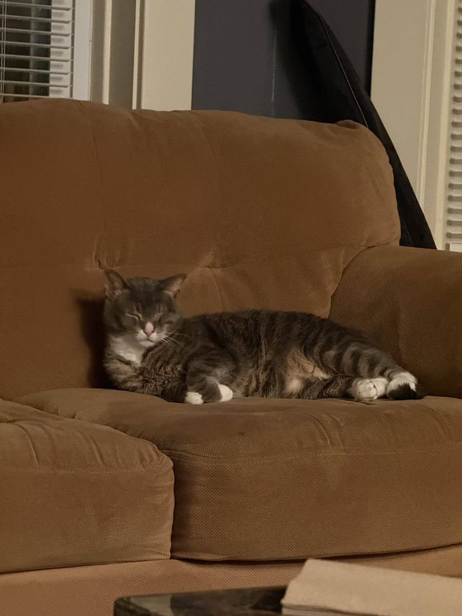 john (@goblin_summoner) on Twitter photo 