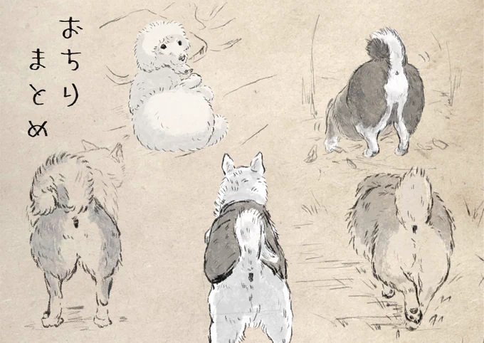 世界ッ 犬の日ッーーー!!!
犬ッ!!おめでとーッ!!!!
おしりッ 見ろッ!! 