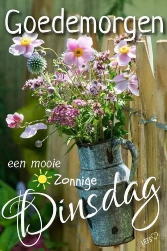 Goedemorgen iedereen