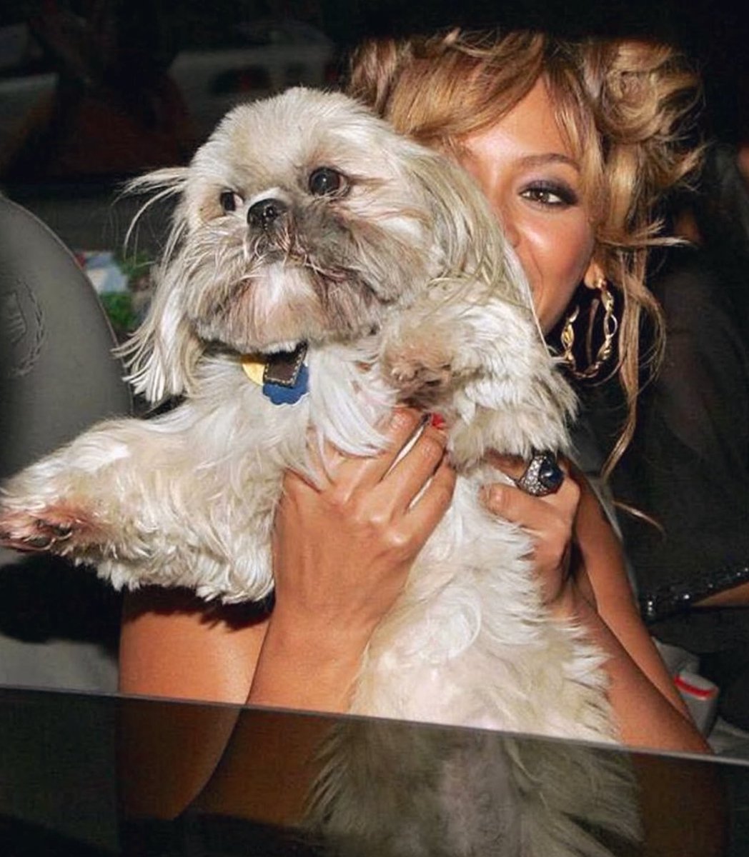 Happy National Dog Day! 🐾