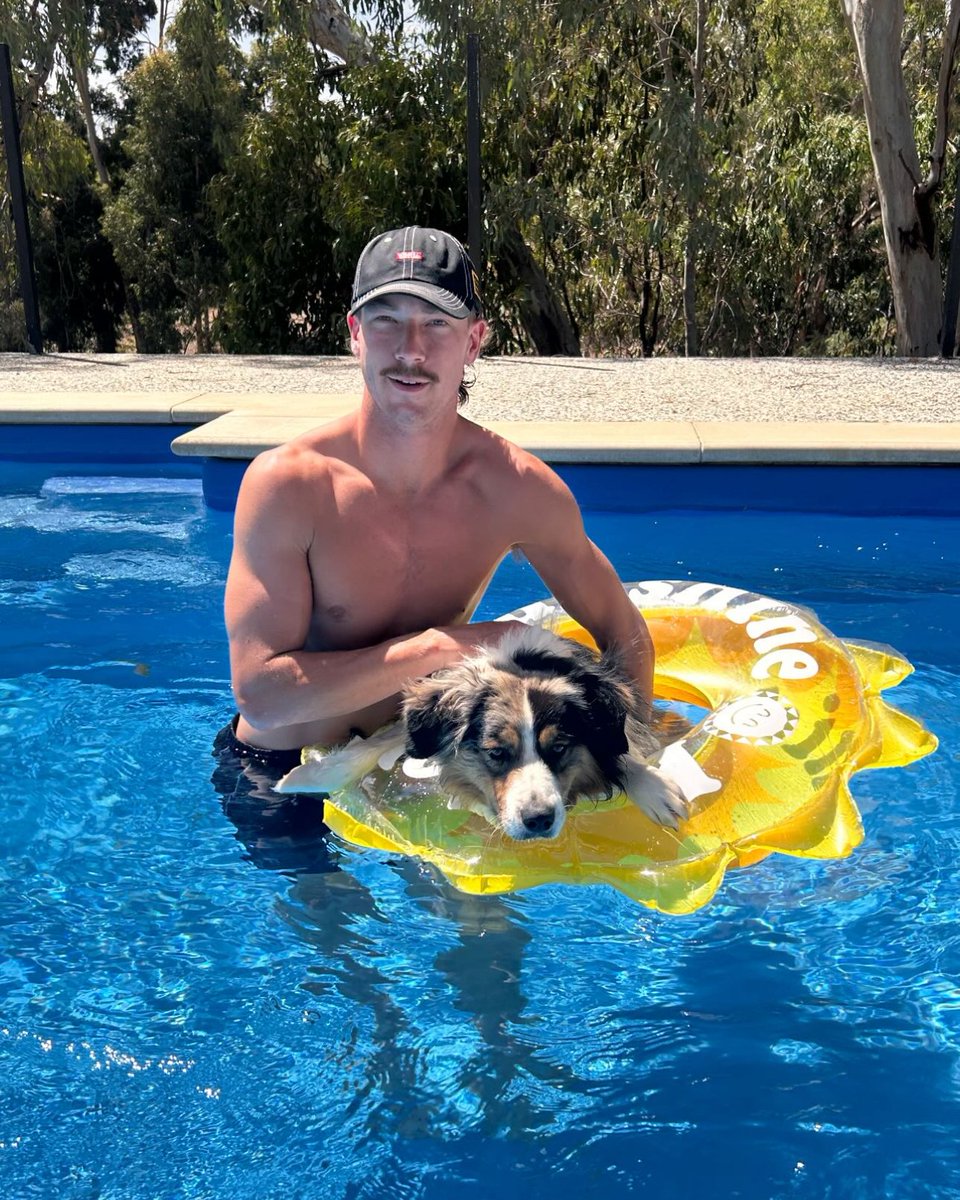 PAFC's tweet photo. happy international dog day to these furry friends 🥹🫶 https://t.co/sh8uA0P9Eo