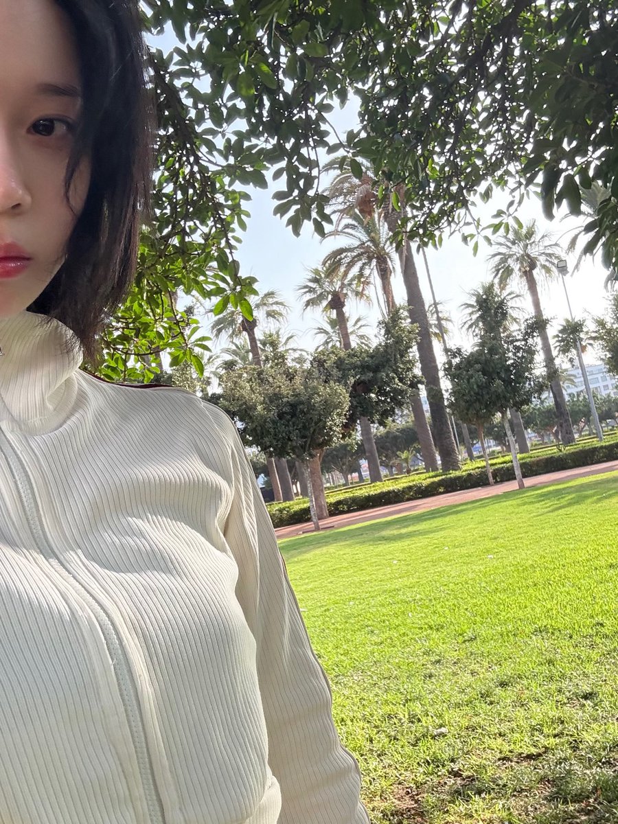 kiku_sunwinter's tweet photo. 呆猪 https://t.co/fdgWN7EgpP