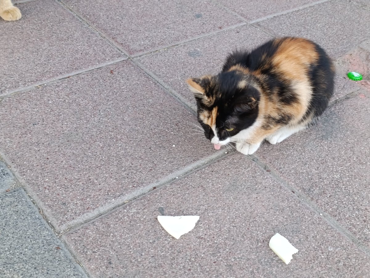 πΊπͺππΏπΈπ
 ππ
πΈπππͺ (@lupumdei) on Twitter photo Dil π Dil π