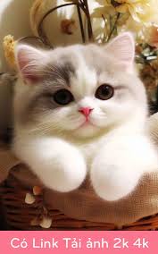 tthasstote_555 🍊,💊 (@tthasstote_555) on Twitter photo 