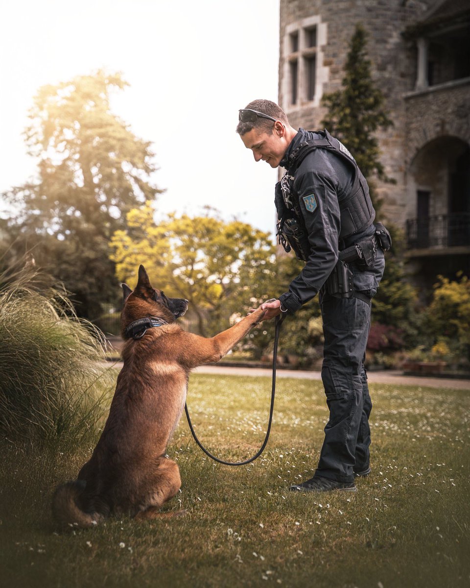 #JournéeMondialeDuChien 🐾 Hommage à nos compagnons à 4 pattes. 🐕 Toujours fidèles, courageux et prêts à veiller sur vous.👏

📸 SIRPA Gendarmerie -  C. Proudhon