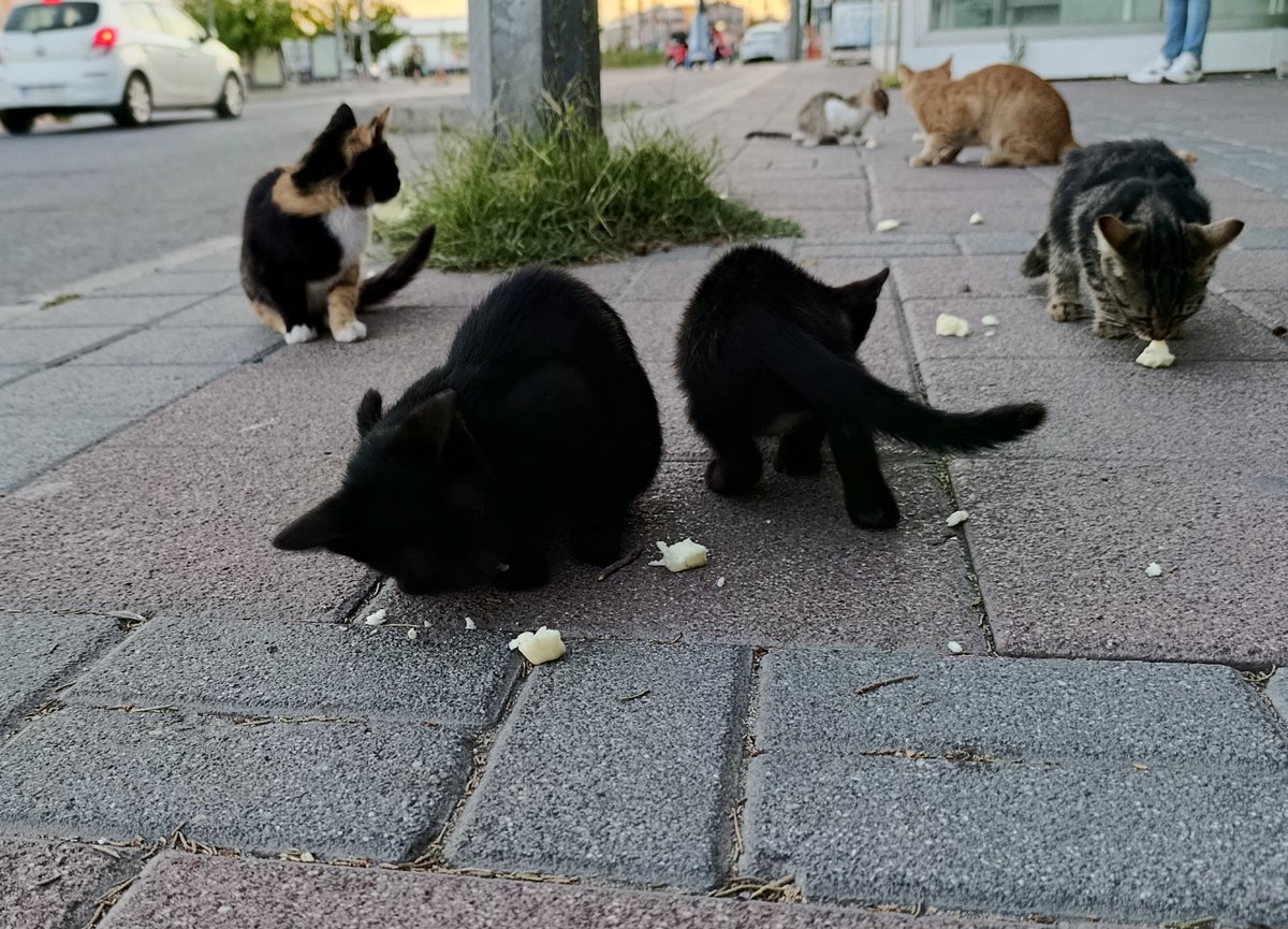 πΊπͺππΏπΈπ
 ππ
πΈπππͺ (@lupumdei) on Twitter photo π© π©