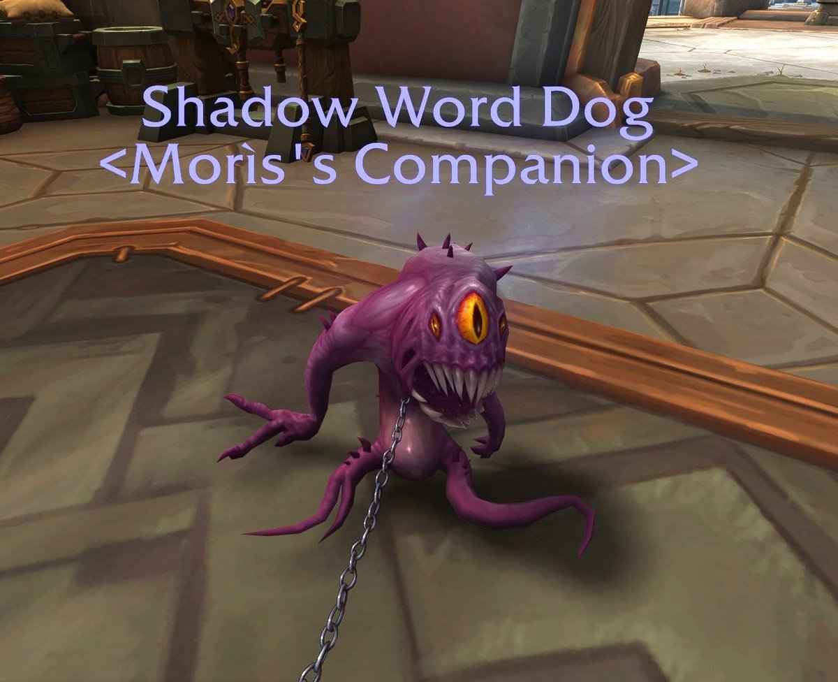 Taking him for ice cream cause pop base said its international dog day today