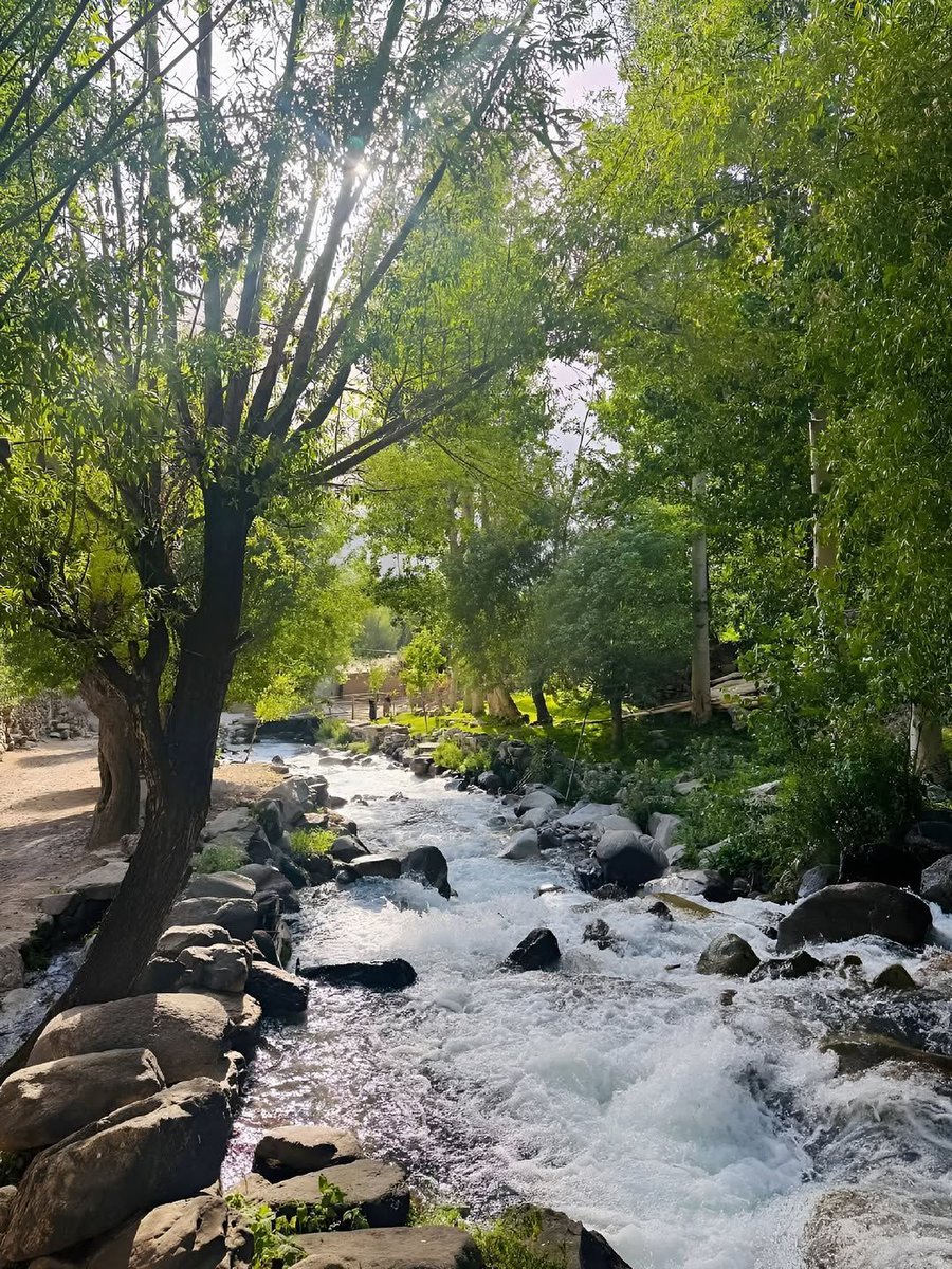 #Goedemorgen 🌄 #Twitter 🐦/ #X ✖️ vrienden,

#Dinsdag, Langzaam komen we weer in het ritme. Vanuit het adembenemende #Afghanistan 🇦🇫 een #AfghaniPorn 🔥 om de dag mee te starten.
Fijne dag allemaal en vergeet de #koffie ☕ niet.

#Veteraan 🎖️ | #Defensie 🪖