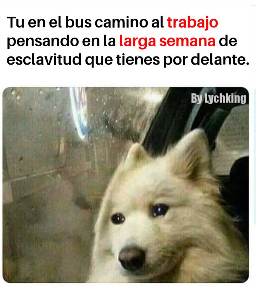 Winnie Poohtas (@winniepoothas) on Twitter photo 