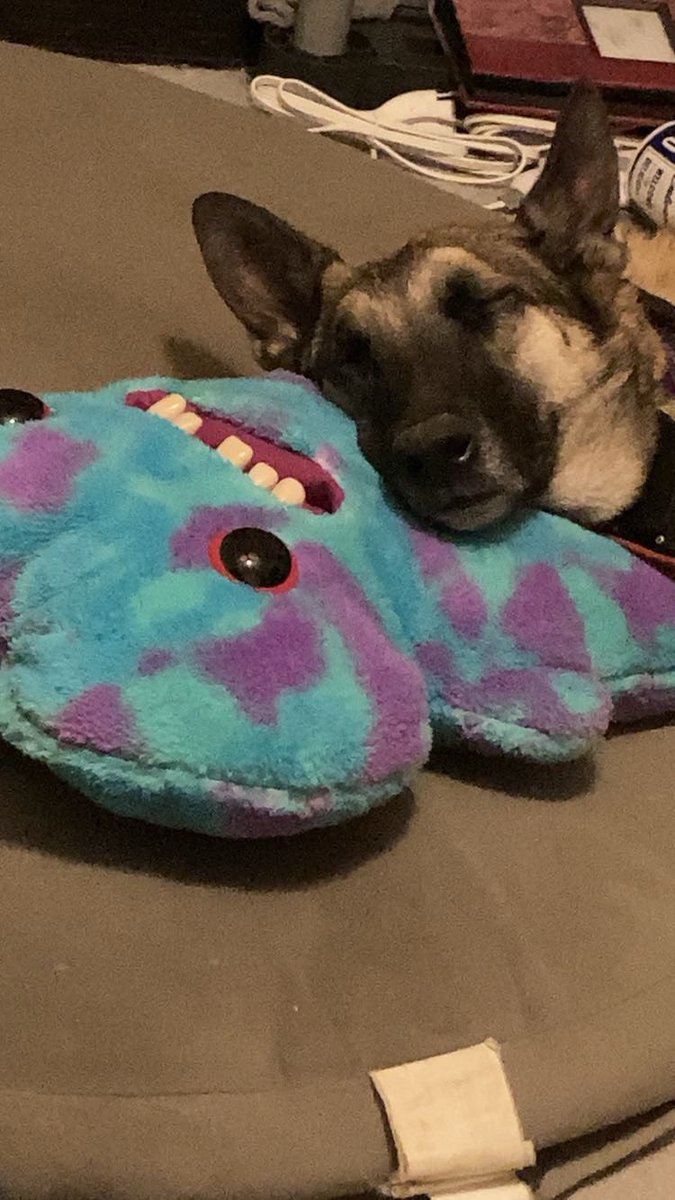 It’s my baby girl’s birthday today 🥹
Percy’s the big 4. I love this little girl so much.