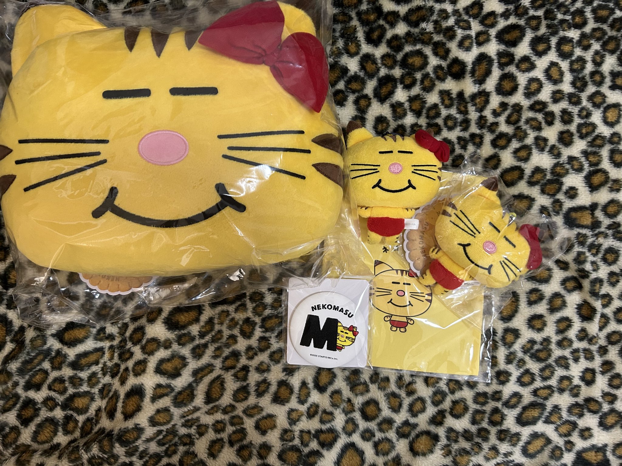 猫ガニみー Amazon.co.jp: 獣医師監修 うちのこエレクトリック 球体自動
