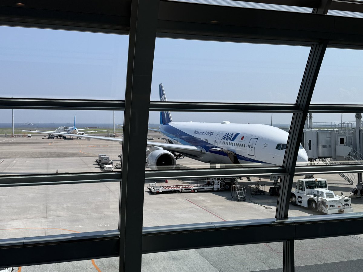 お空クン (@winskywing) on Twitter photo 