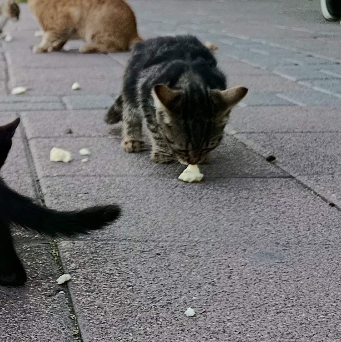 πΊπͺππΏπΈπ
 ππ
πΈπππͺ (@lupumdei) on Twitter photo "Burnunun ucuna peynir koyarsan her yer peynir kokar..."
(Gizler Prensi) "Burnunun ucuna peynir koyarsan her yer peynir kokar..."
(Gizler Prensi)