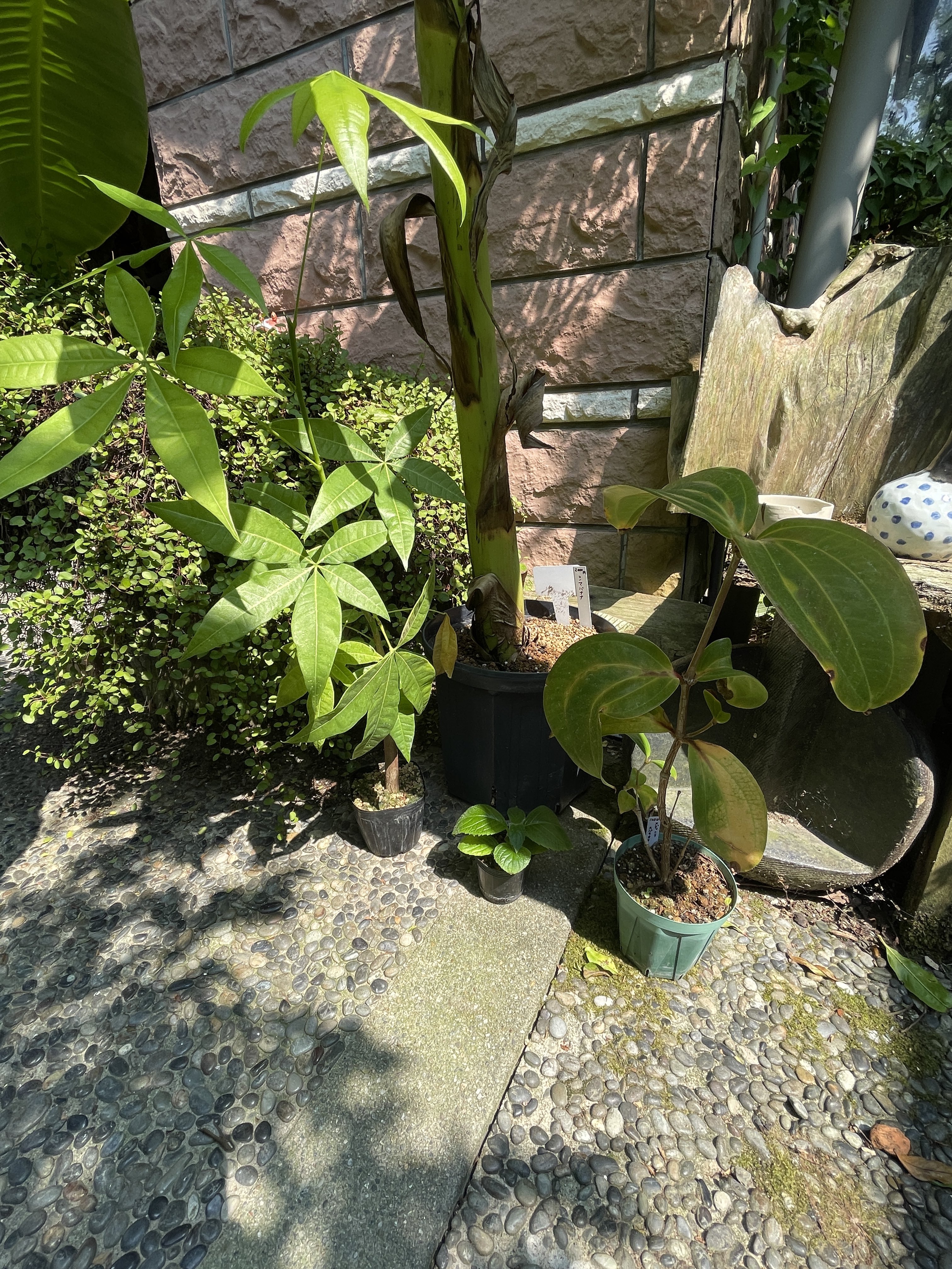 田辺京子足付き陶器ボウル fit=scale-down,w=1200