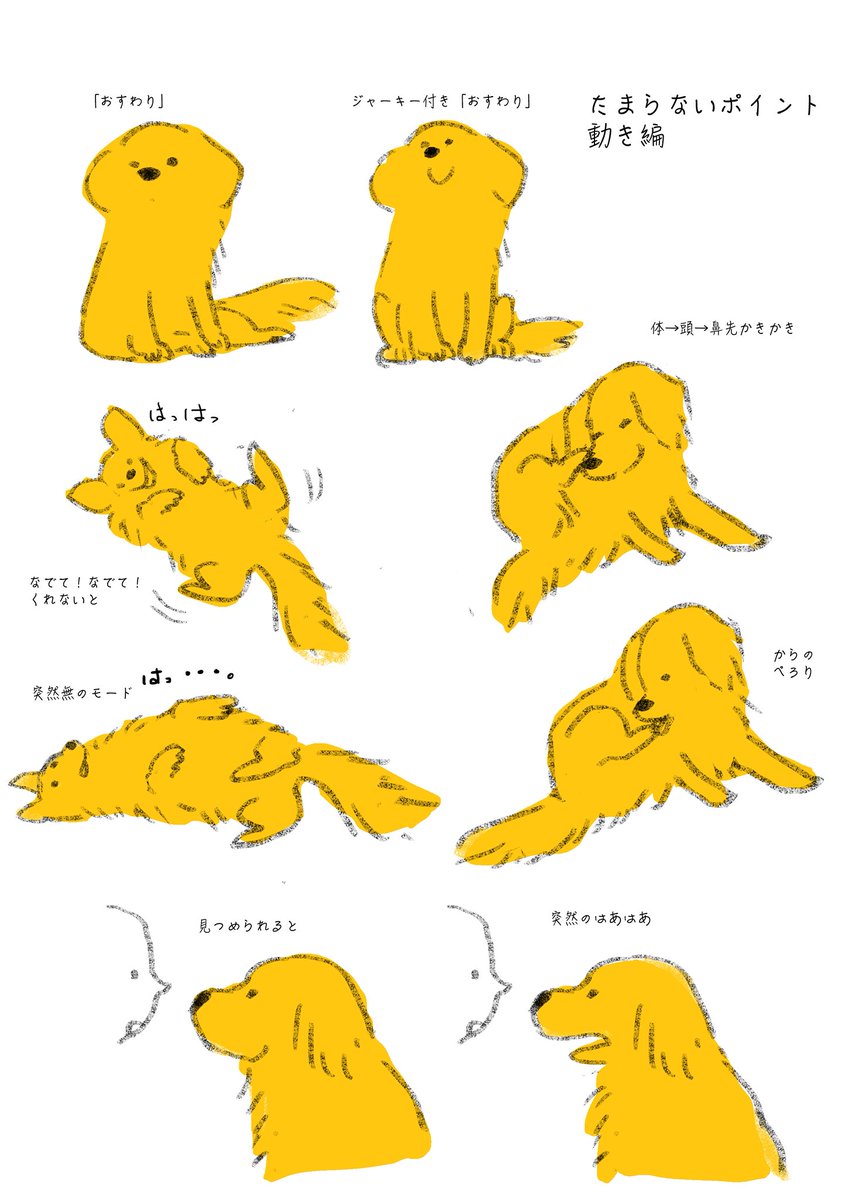 #世界犬の日 