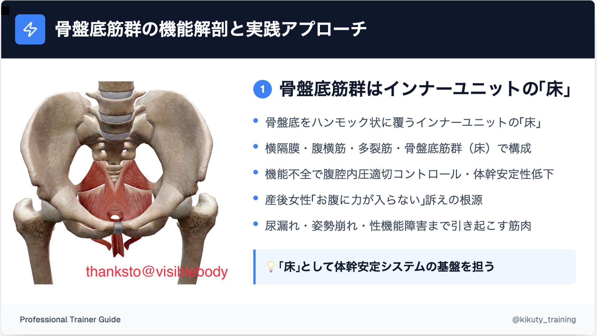 骨盤底筋群の機能不全に対する評価とアプローチ【全４巻】ME189-S 骨盤底筋群の機能不全に対する評価とアプローチ ～ 女性特有の
