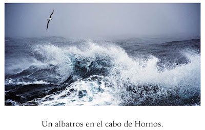 Santos Domínguez (@lecturalectores) on Twitter photo EN UN BOSQUE EXTRANJERO: Los náufragos del Wager. Algunas ilustraciones santosdominguez.blogspot.com/2025/08/los-na… vía <a href="/LecturaLectores/">Santos Domínguez</a> EN UN BOSQUE EXTRANJERO: Los náufragos del Wager. Algunas ilustraciones santosdominguez.blogspot.com/2025/08/los-na… vía <a href="/LecturaLectores/">Santos Domínguez</a>
