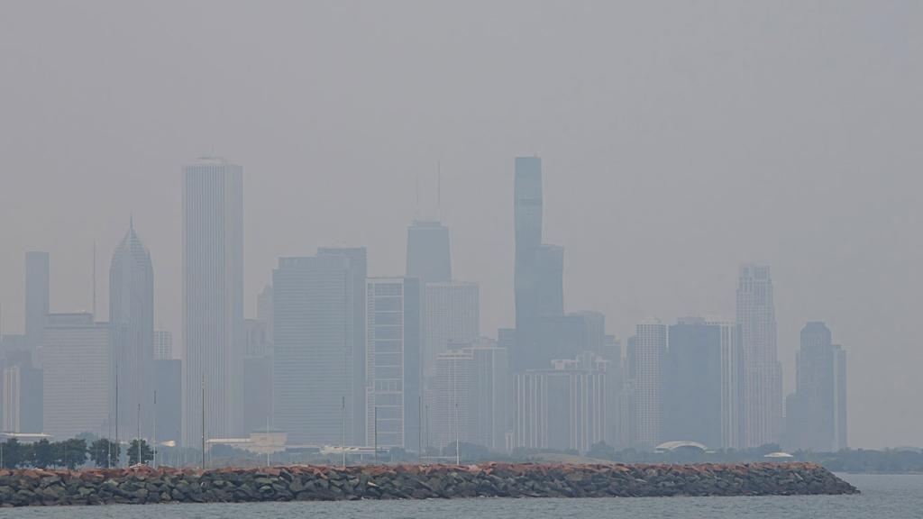 Chicagoland is 15th worst in the nation for ozone pollution with 20.3 unhealthy days per year, receiving a F for year round particle pollution (American Lung Assoc., 2025). Large, healthy trees (diameter &gt; 30 in) have approximately 60–70 times more ability to reduce air pollution