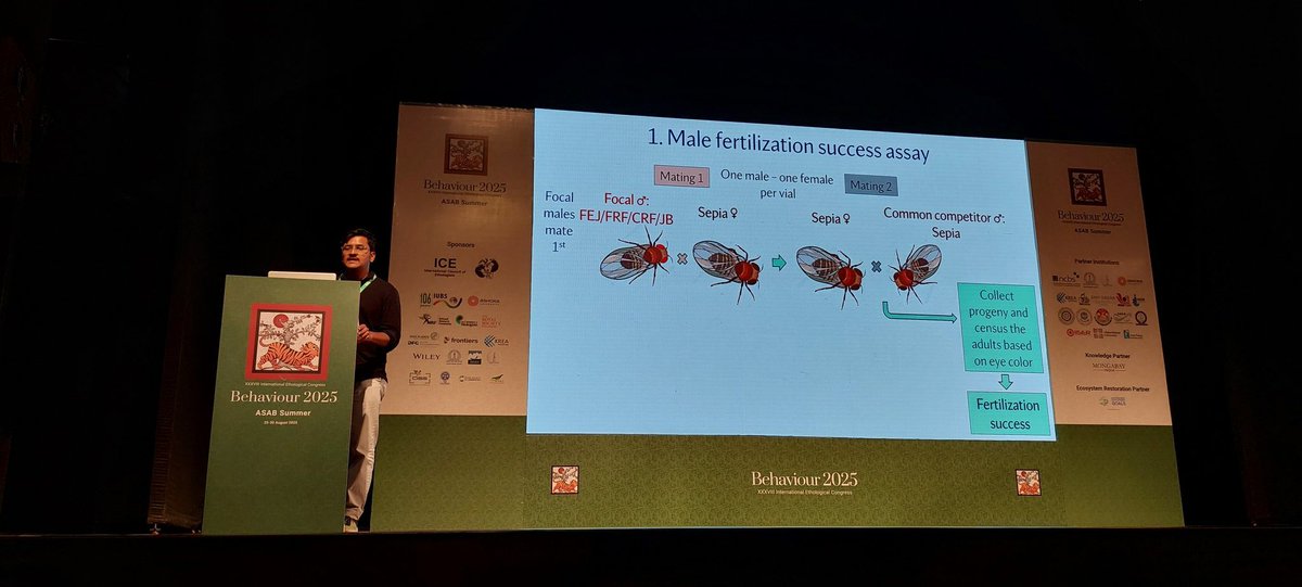 Amitabh Joshi (@joshiamitabhevo) on Twitter photo Very nice talk by Chinmay Temura from our lab at EOBU <a href="/jncasr/">JNCASR Bangalore</a> at the intl ethology congress <a href="/Behaviour2025/">Behaviour 2025</a> . He spoke on teasing apart the roles of 2 selection pressures in the evolution of reduced sexual conflict in fly pops selected for rapid development and early reproduction. Very nice talk by Chinmay Temura from our lab at EOBU <a href="/jncasr/">JNCASR Bangalore</a> at the intl ethology congress <a href="/Behaviour2025/">Behaviour 2025</a> . He spoke on teasing apart the roles of 2 selection pressures in the evolution of reduced sexual conflict in fly pops selected for rapid development and early reproduction.