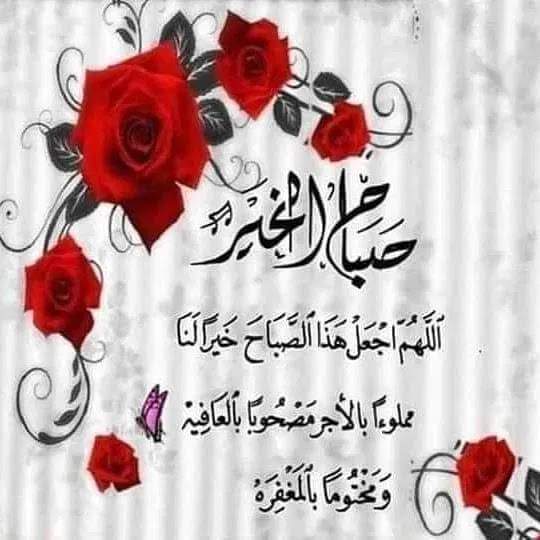 صباحكم ورد 🌹