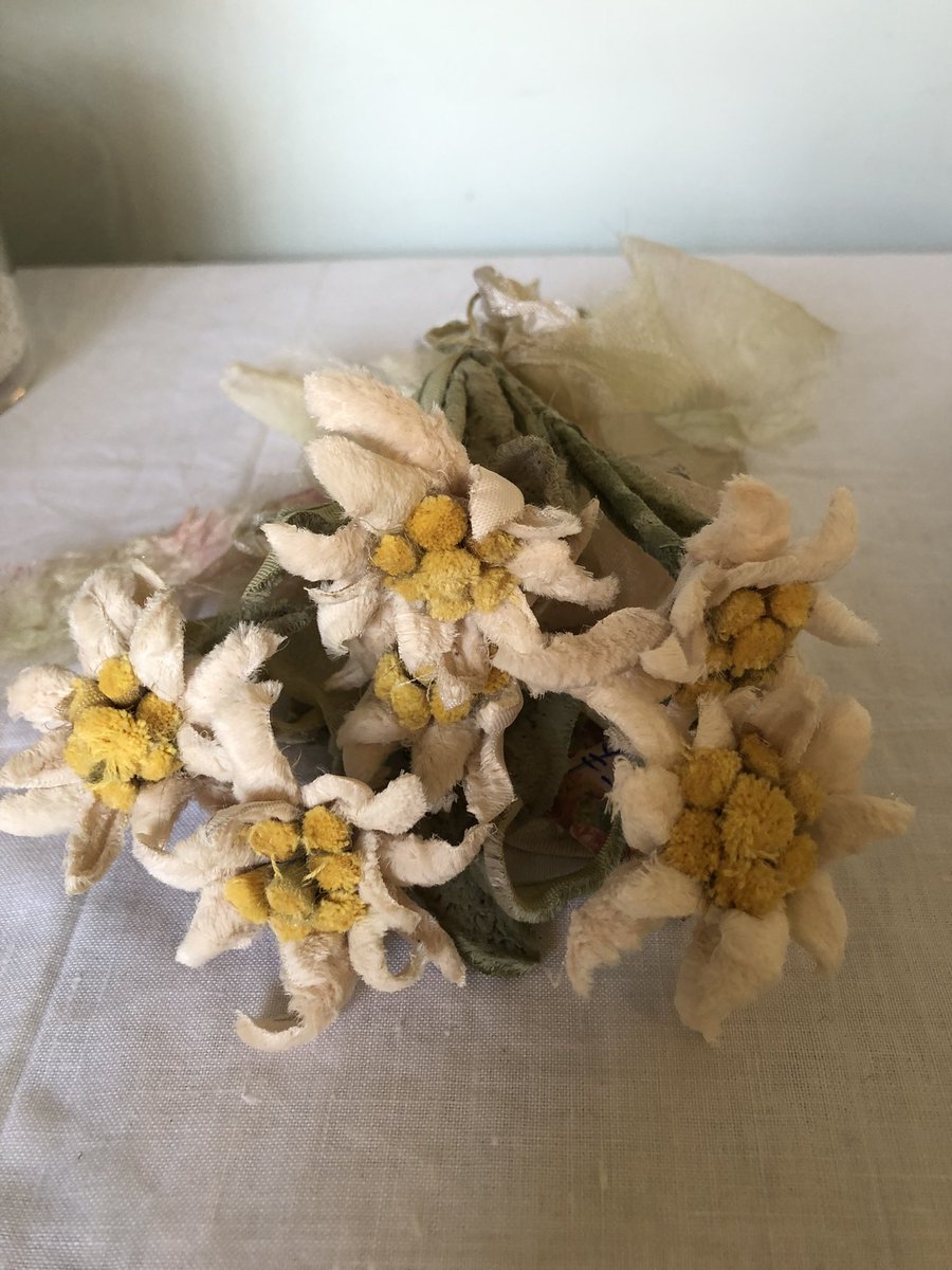 ピンクロゼッタさんからエーデルワイスの追納ありました❤️