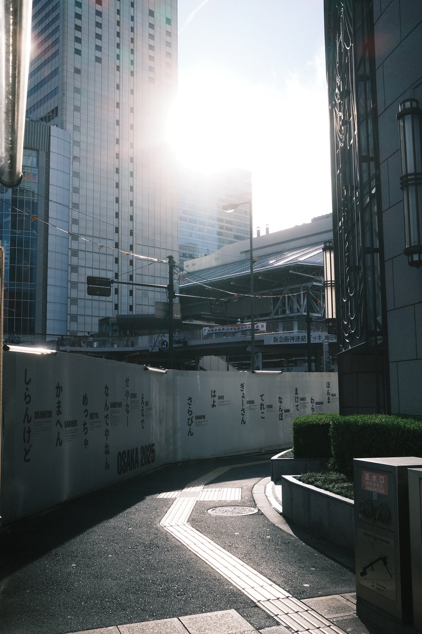 SuNny side_tatsuya.k on X: 