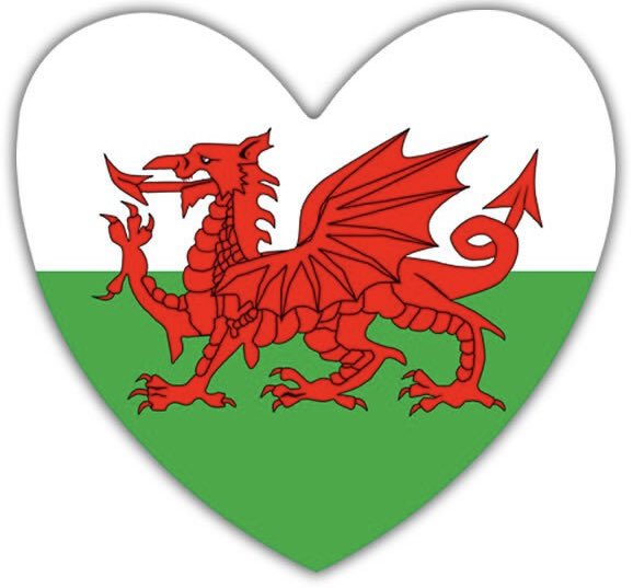 This flag is a symbol of love, of welcome, of togetherness, of inclusion. All of us who live in Wales are equal. 

If you show this flag, you are displaying these values. I’m grateful to you. Diolch.