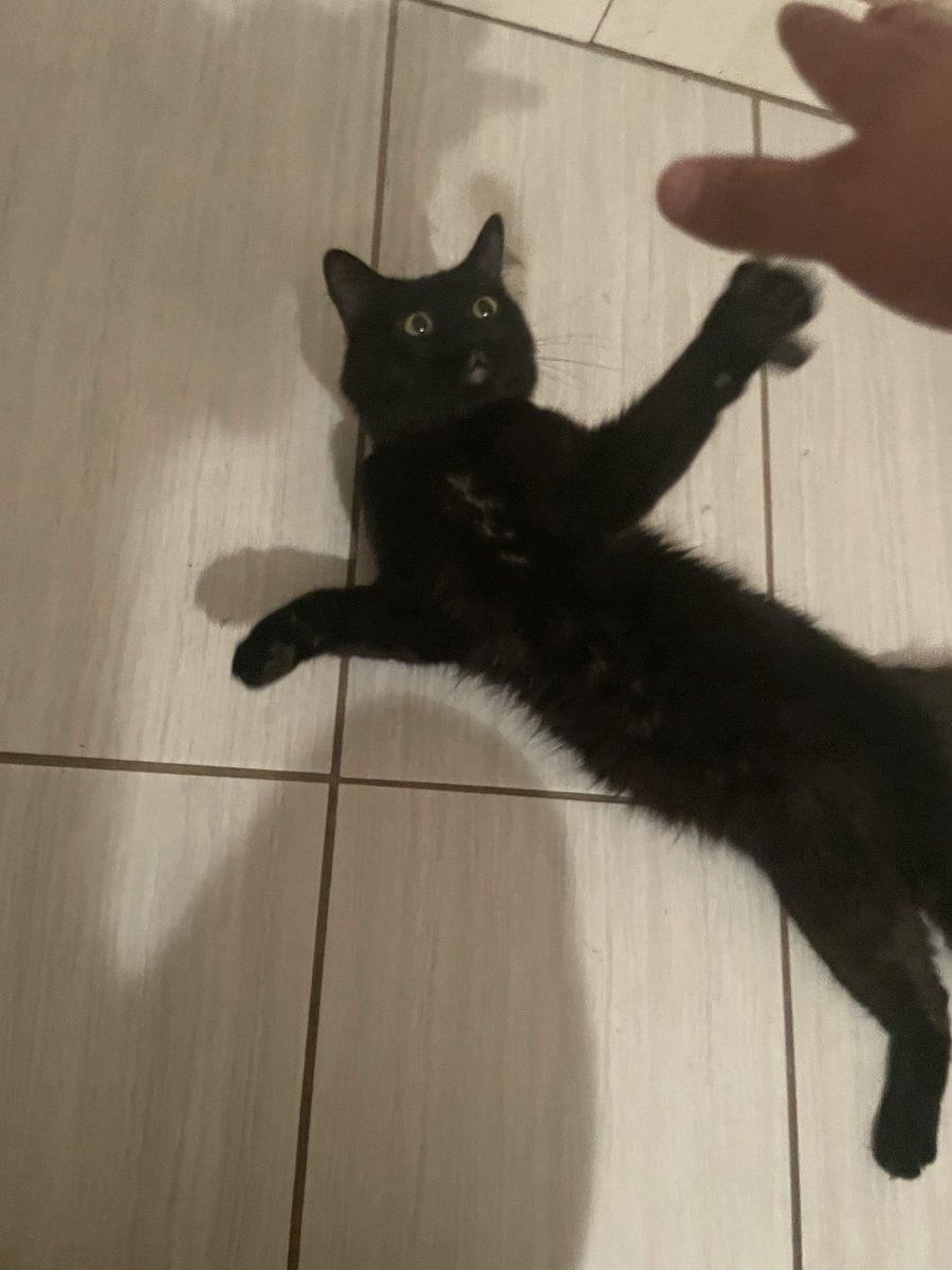 robasiq's tweet image. gonna miss you my boy, thank you for being my only friend when things were tough, rip creeper 🖤😪