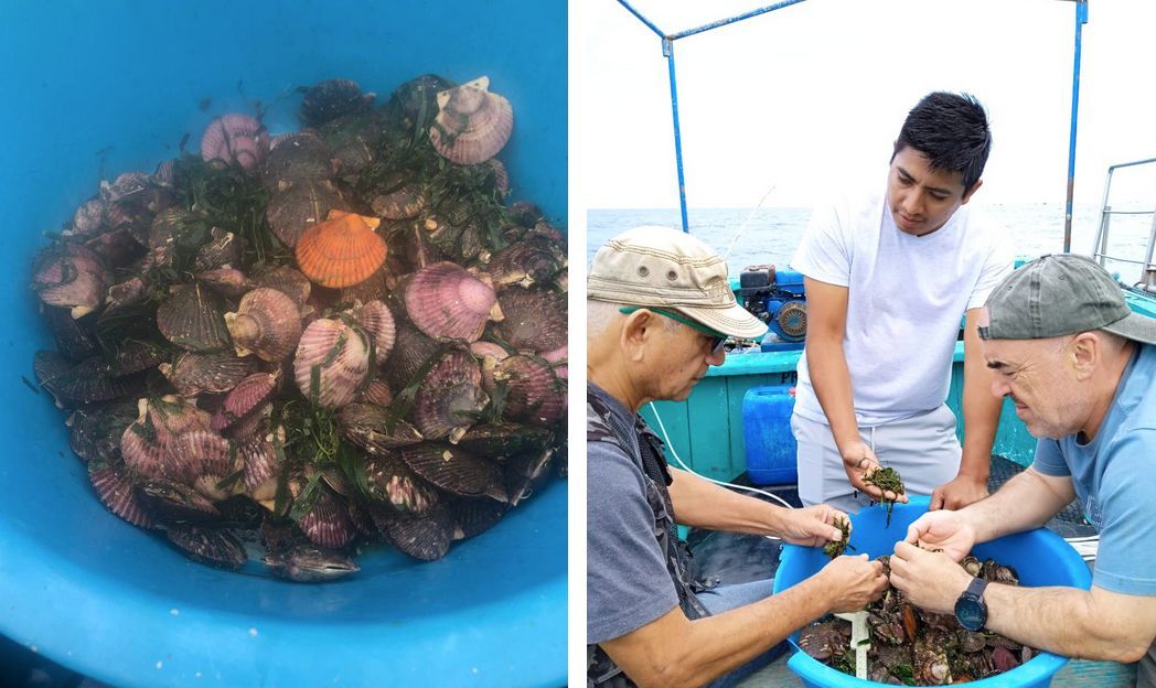 .<a href="/FundacionCETMAR/">Fundación CETMAR</a>  impulsa en Perú el proyecto MARdePiura para fortalecer la economía azul, incluida la innovación acuícola, y afrontar el cambio climático buff.ly/97d7wLx