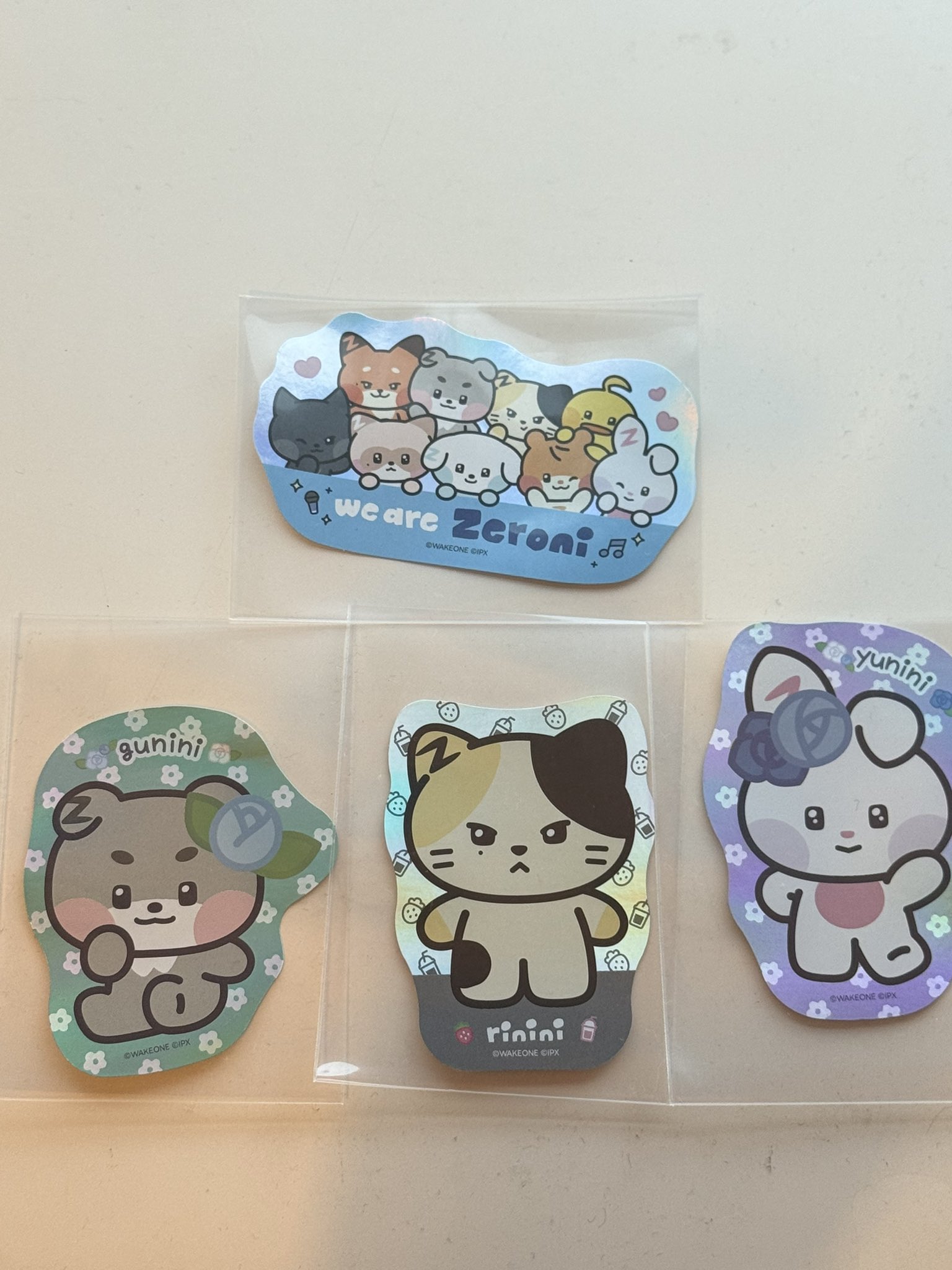 ニコさま専用です どうぶつおせわがた～っぷり！あつめておせわしよ キラニコ