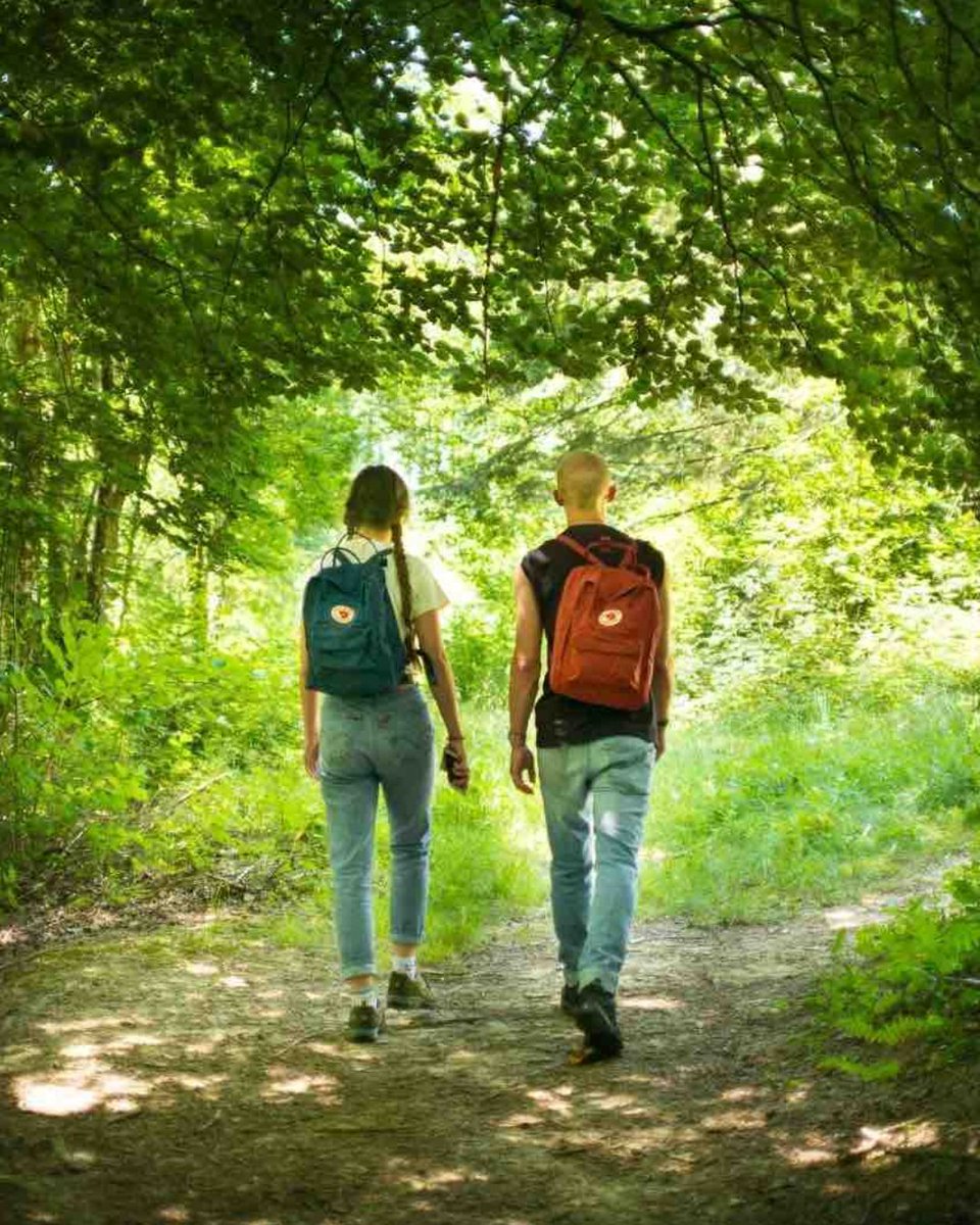 🚶‍♀️ TOMORROW! FREE guided history walk in #HeatonMoor with Histrionics!

📅 Wed 27 Aug
📍 York Road entrance, Heaton Moor Park
⏰ 11am, 12pm, 2pm &amp; 3pm
⏱️ 30 mins each
👟 Book on Eventbrite - search 'Summer Family Walks Heaton Moor Histrionics TfGM'

#LocalHistory #FreeEvent