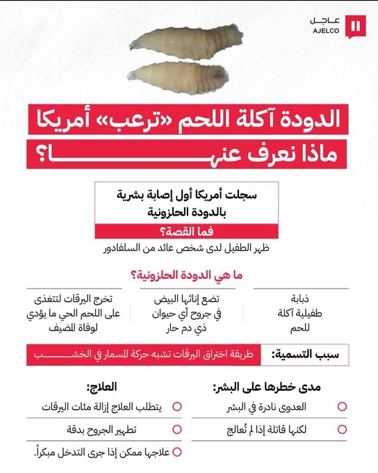 الدودة آكلة اللحم ترعب أمريكا.. ماذا نعرف عنها؟ 